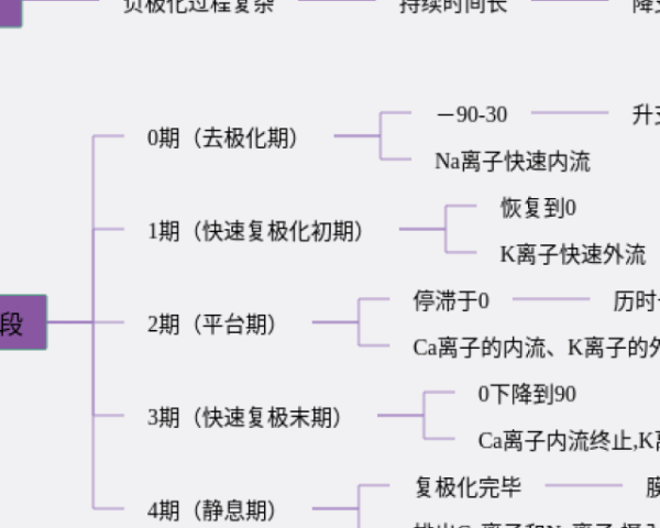 小学数学四年级第五单元思维导图(6张精选版)