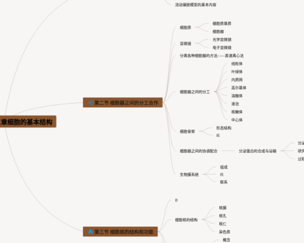 思维导图的好处有哪些(22张值得收藏)