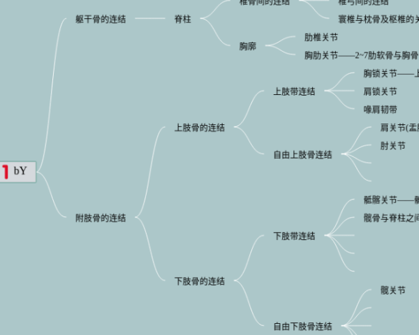 蒲公英思维导图(3个精选版)