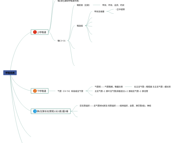 小学四年级第五单元思维导图(4张可下载)