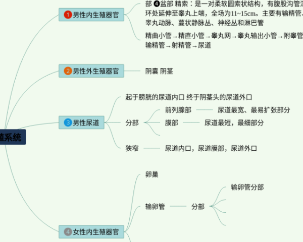 hobby的思维导图手抄报英语(20张附下载)