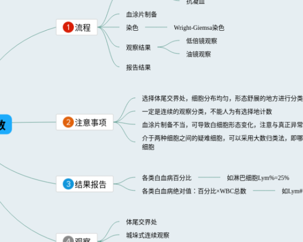 二年级上册第七单元思维导图数学(25张附打印高清版)