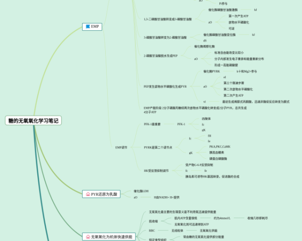 五下英语四单元思维导图(3张精选版)