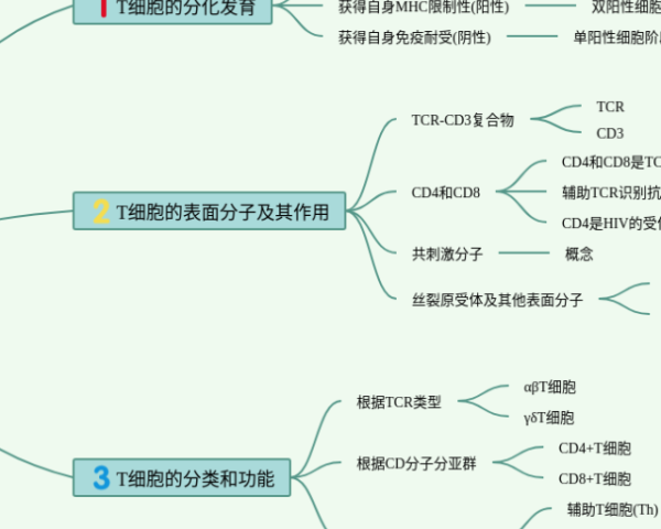 四则运算知识点思维导图(23张可下载)