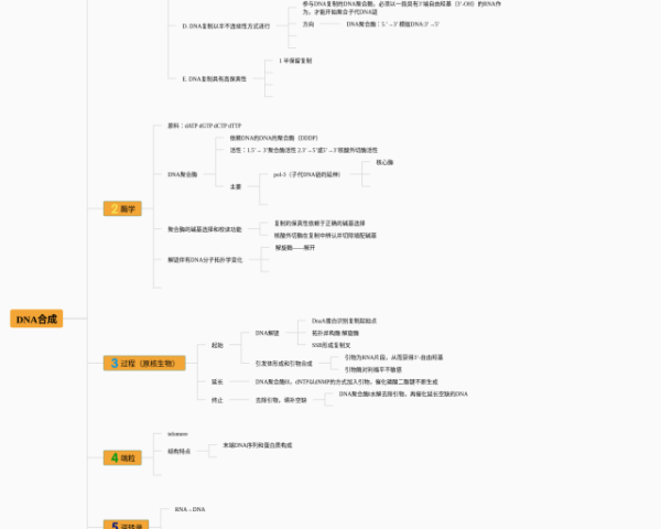 信息类文本阅读思维导图(4张值得收藏)