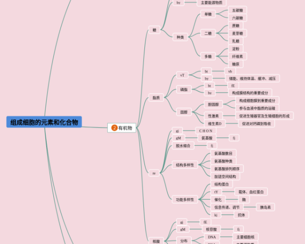 蒲公英思维导图(3个精选版)