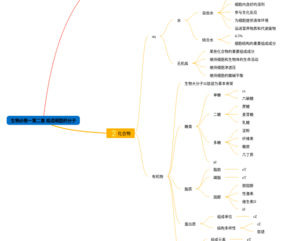 植物六大器官思维导图(24张可打印)