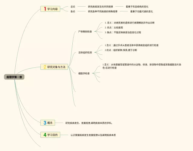 病理学第一章思维导图-4