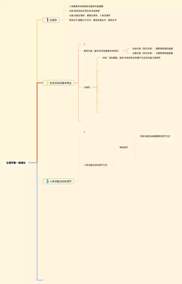生理学第一章绪论思维导图-1
