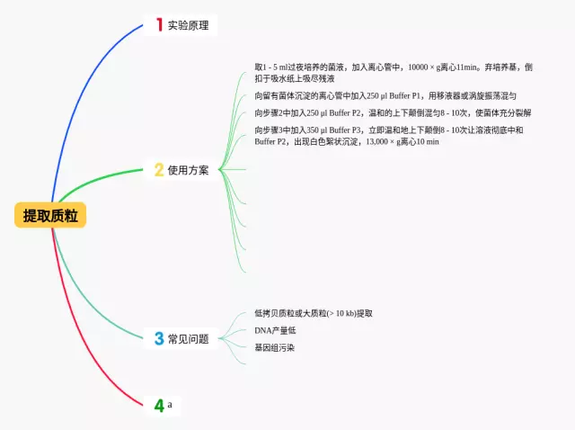 提取思维导图-3