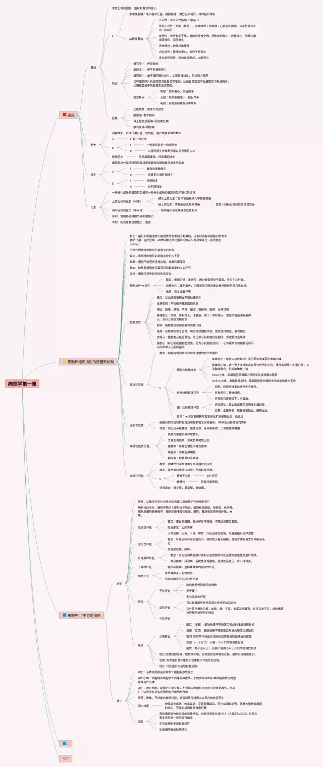 病理学第一章思维导图-3