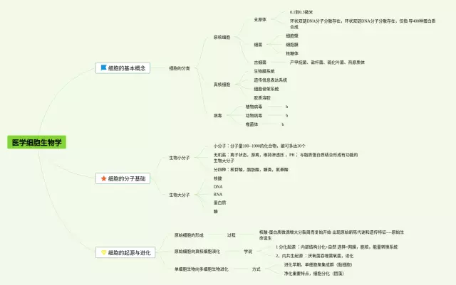 医学细胞学思维导图-2