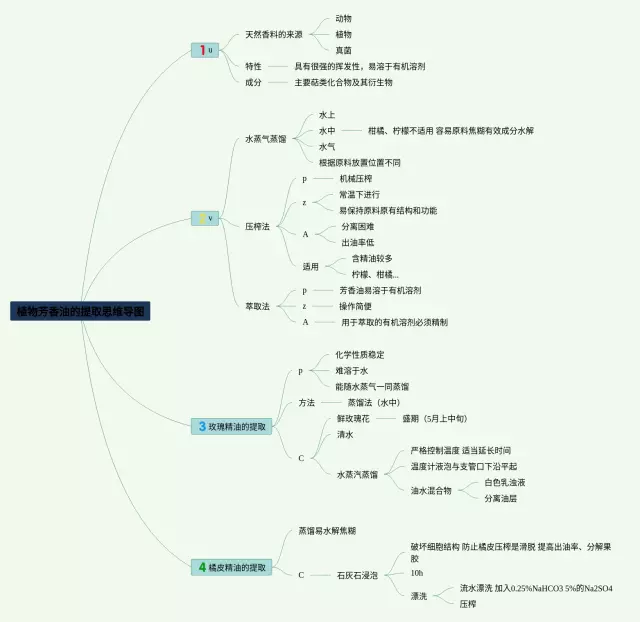 提取思维导图-2