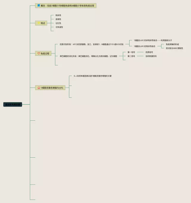 适应性免疫应答思维导图-2