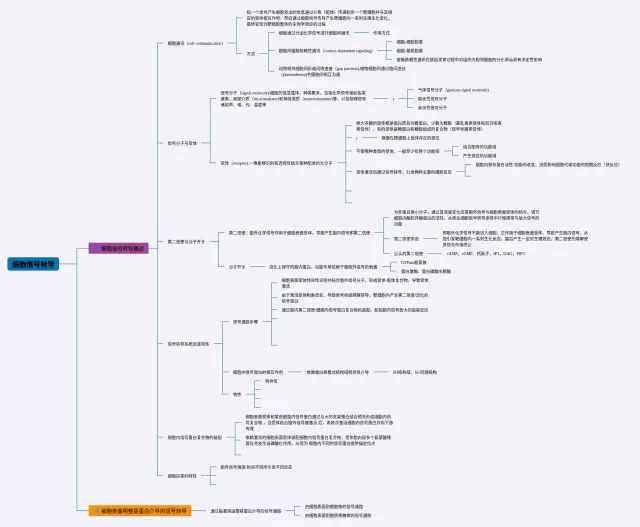 细胞学细胞信号转导思维导图-3