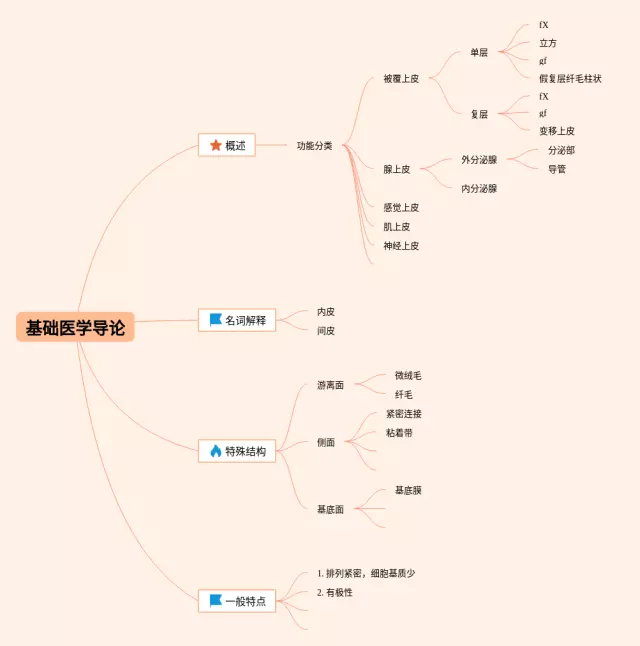 基础医学思维导图-2