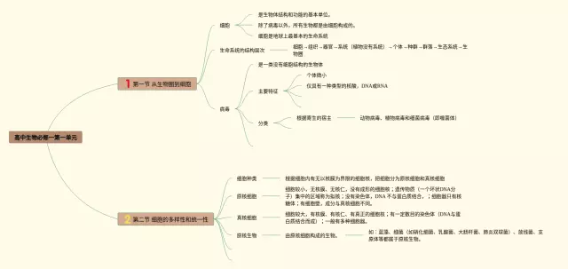 高中必修一第一单元思维导图-3