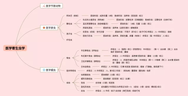寄生虫学思维导图-2