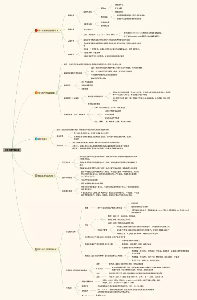 植物生理学第五章思维导图-1