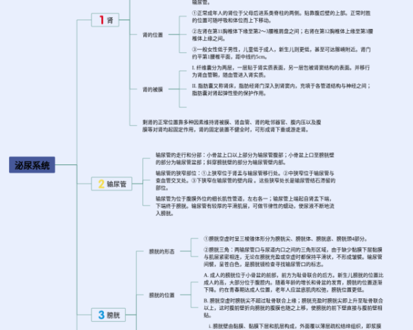 生物七下二单元思维导图(23张精选版)