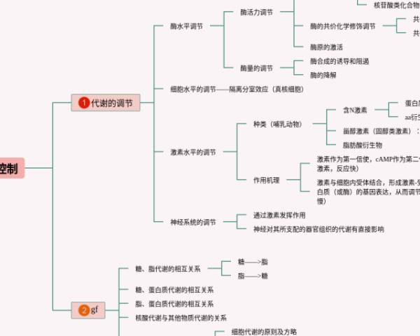 园本课程思维导图模板(22张精选版)