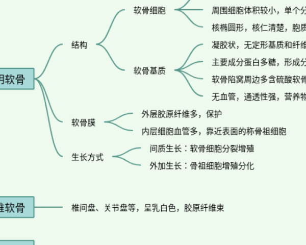 思维导图导出(4张可打印)