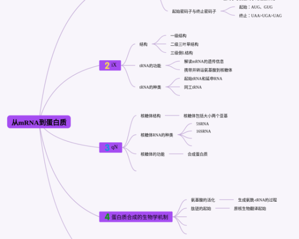 小学平面图形思维导图(24张附下载)