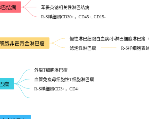 组织架构思维导图(3张精选版)