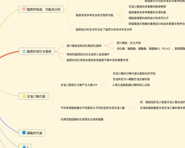 思维导图导出(4张可打印)
