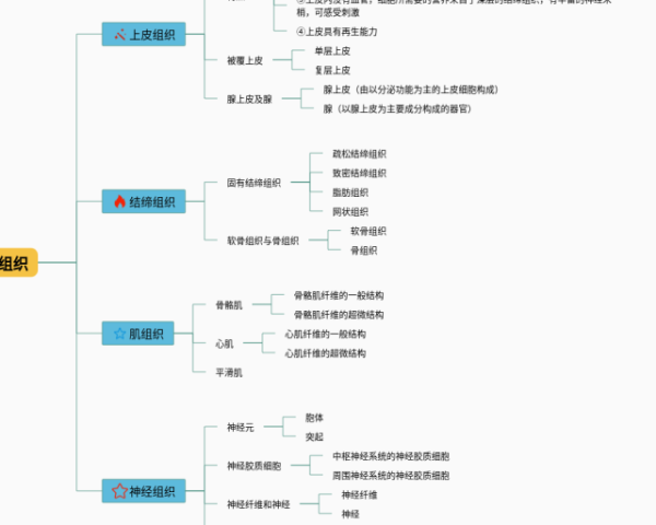 英语四下六单元思维导图(4张可下载)