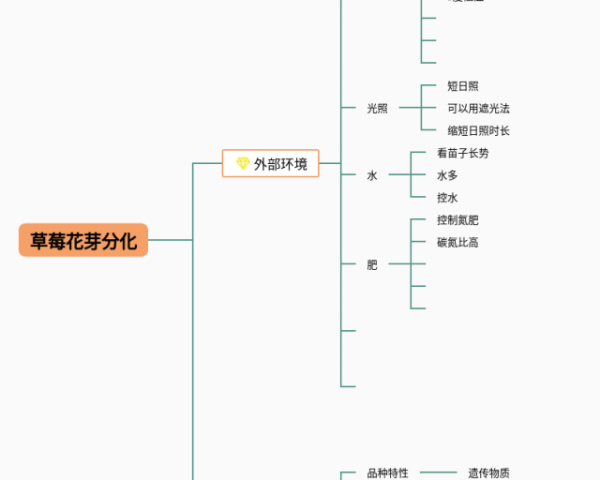 五年级语文思维导图怎么画(6张精选版)