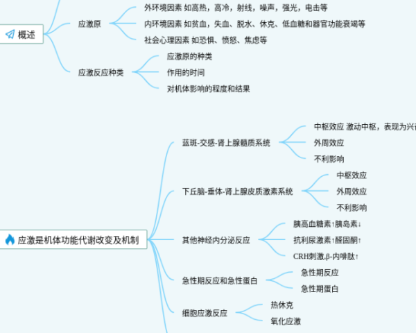 思维导图导出(4张可打印)