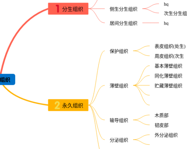 五下英语四单元思维导图(3张精选版)