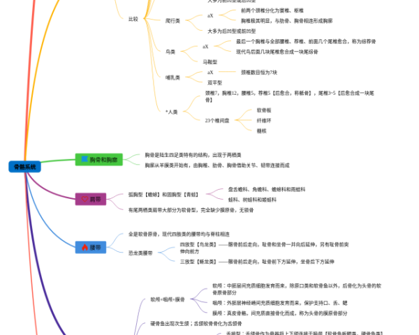 四年级下学期思维导图(3个附下载)