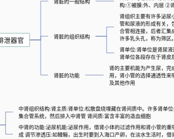 词语思维导图简单画法(23张高清版)