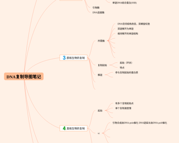 高中生物第五章思维导图(4张高清晰可打印)