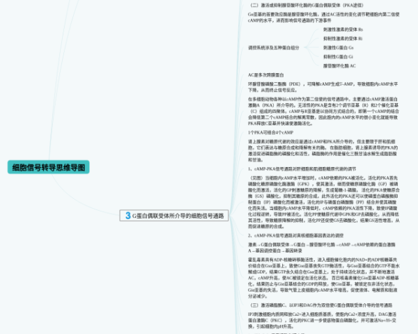 夏洛的网人物思维导图(4个可打印)