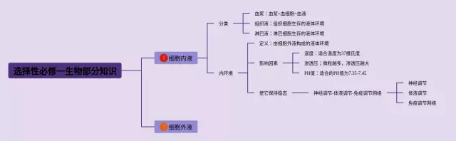 必修一选择性思维导图-1