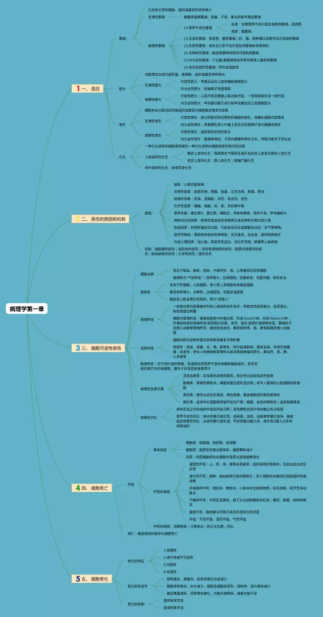 病理学第一章思维导图-2