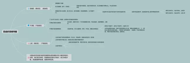 肌组织思维导图-3