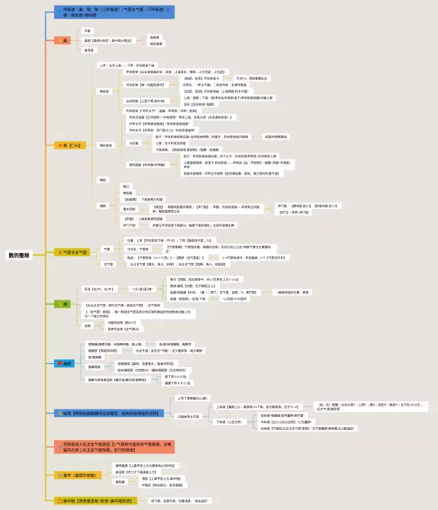整除的思维导图-4