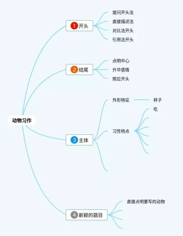 习作的思维导图-4