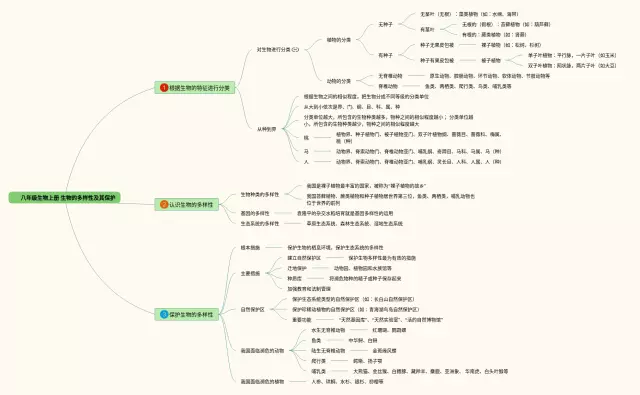 八年级下册第六单元思维导图-3