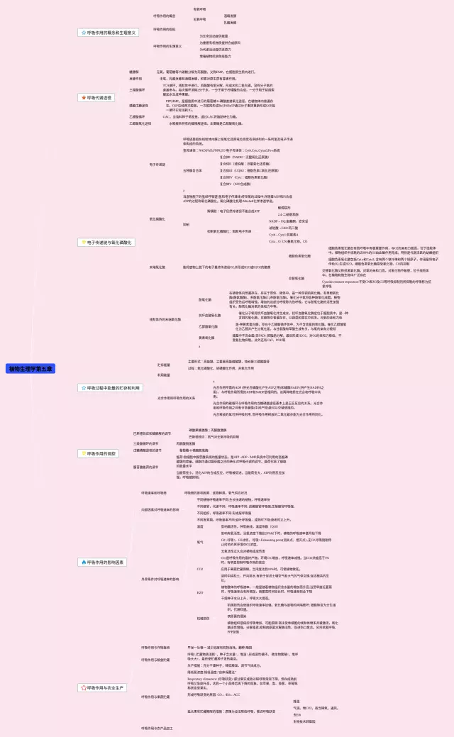 植物生理学第五章思维导图-2
