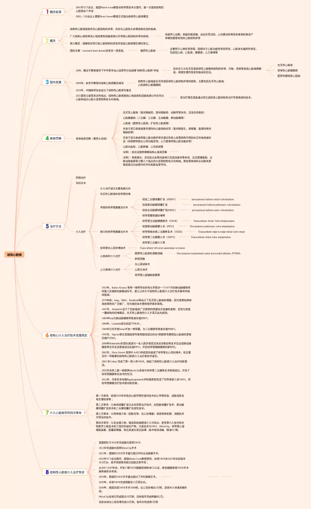 心脏结构思维导图-3