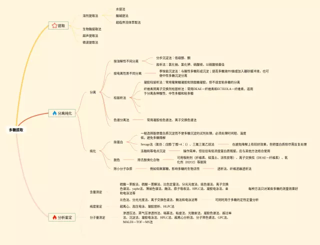 提取思维导图-4