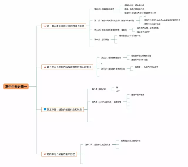 人教版高中必修一思维导图-2