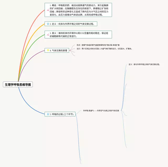 生理学呼吸思维导图-2