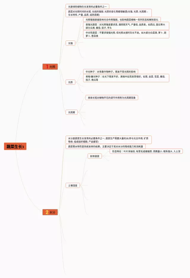 蔬菜思维导图-1
