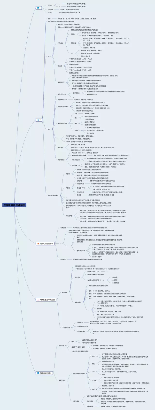 生理学呼吸思维导图-4